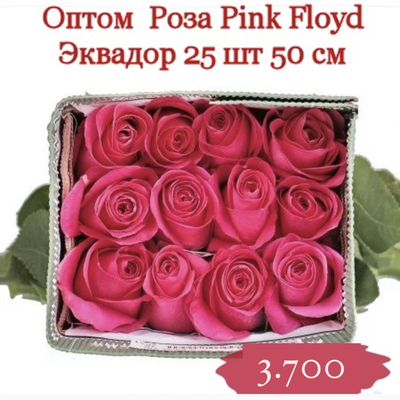 25 розовых роз в банче